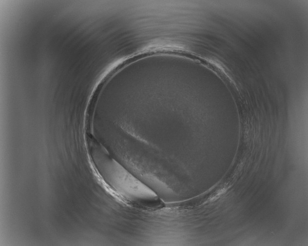 X0000060221038200511041159