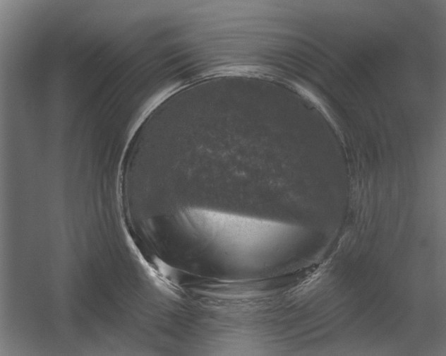 X0000060221050200511041159