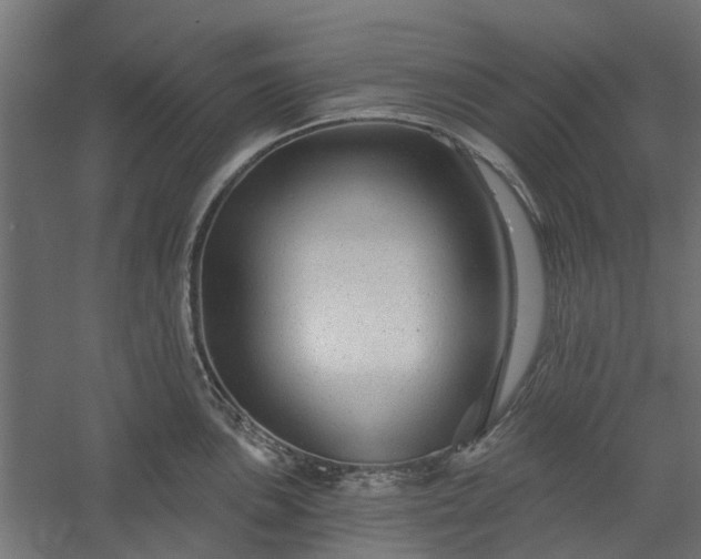 X0000060221051200511041159