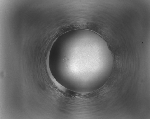 X0000060221057200511041158