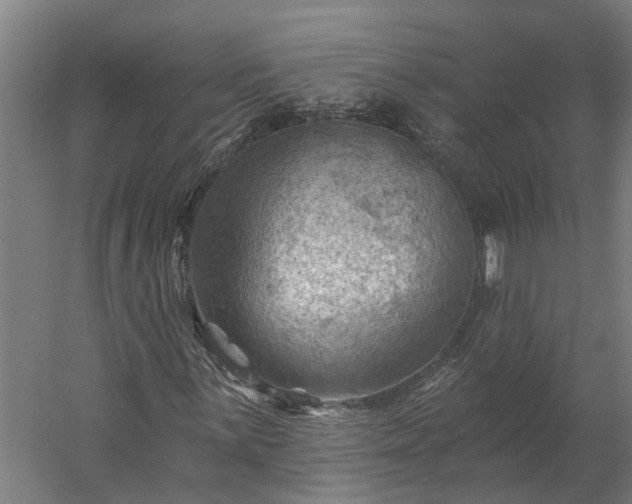 X0000060221059200511041158