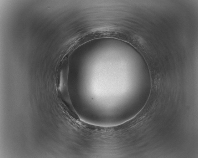 X0000060221062200511041158