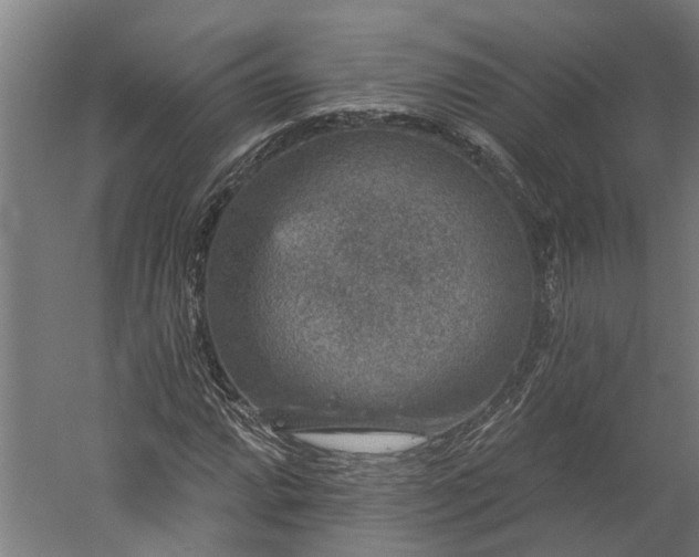 X0000060221064200511041158