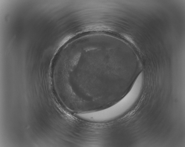X0000060221071200511041158