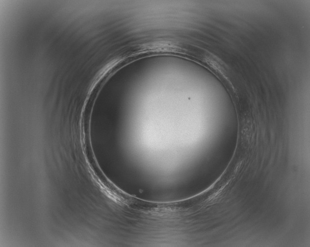 X0000060221082200511041158