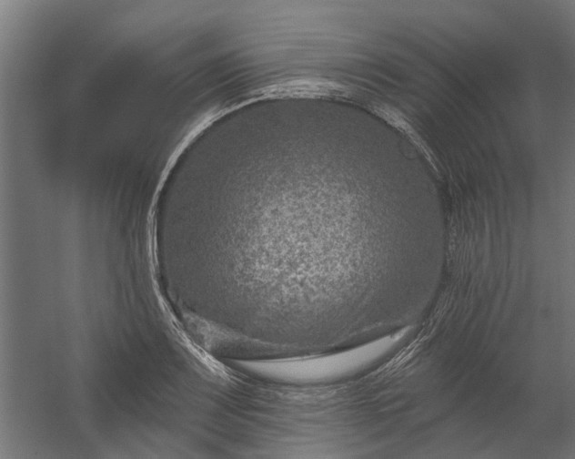 X0000060221083200511041158