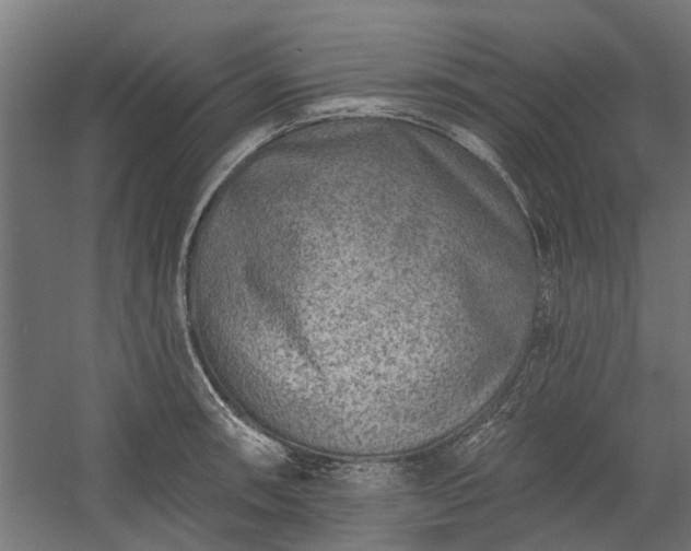 X0000060221090200511041158
