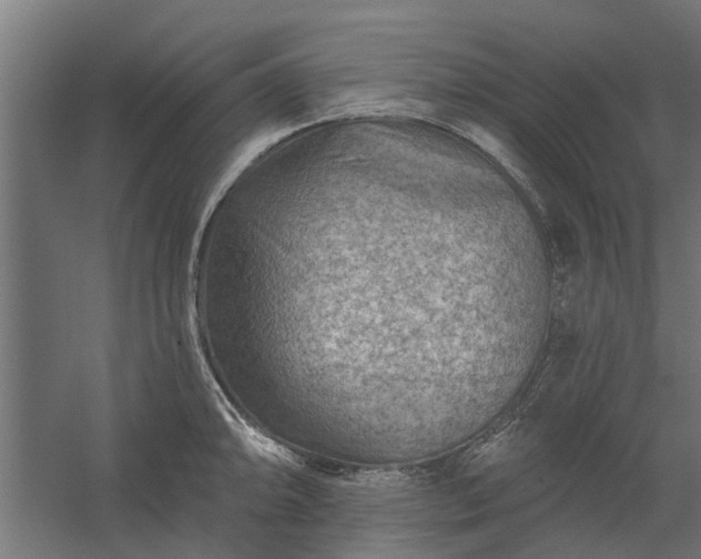 X0000060221094200511041158
