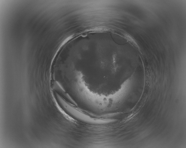 X0000060221095200511041158