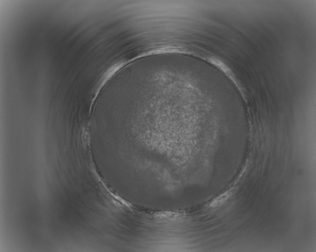 X0000060221097200511041158