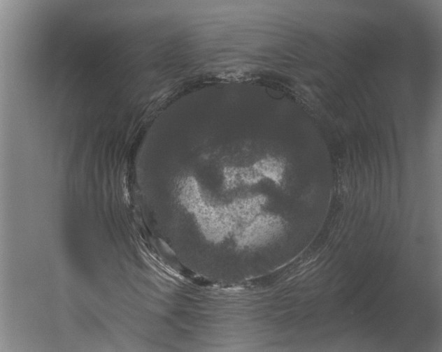 X0000060221106200511041157