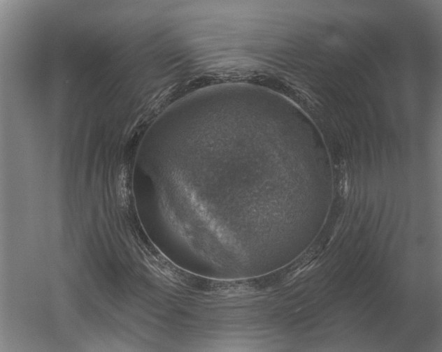 X0000060221108200511041157