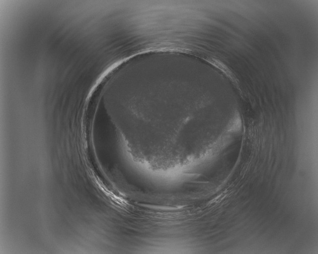 X0000060221120200511041157