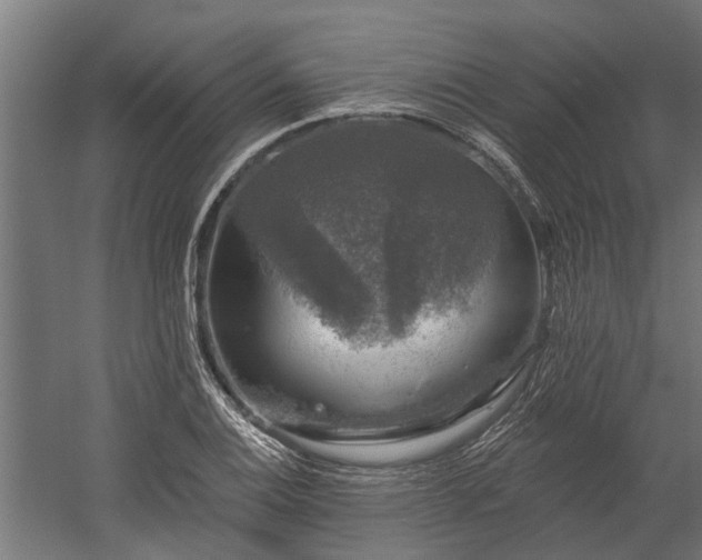 X0000060221124200511041157