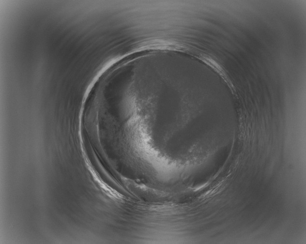 X0000060221128200511041157