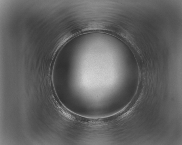 X0000060221129200511041157