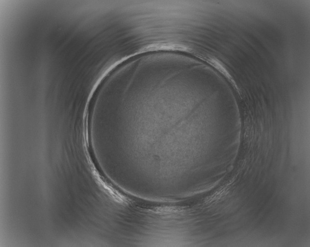 X0000060221132200511041157