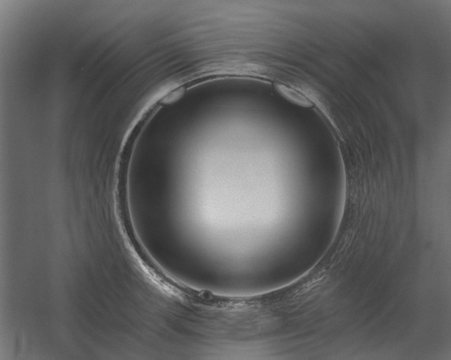 X0000060221139200511041157