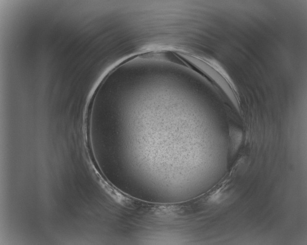X0000060221148200511041158