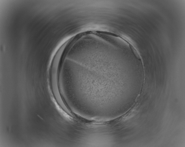 X0000060221152200511041158