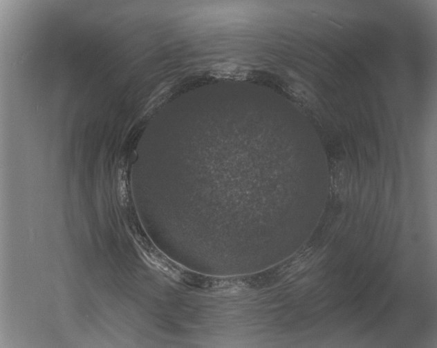 X0000060221154200511041157