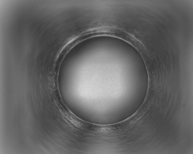 X0000060221166200511041157