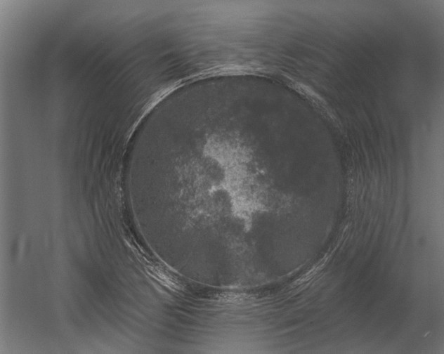 X0000060221170200511041157