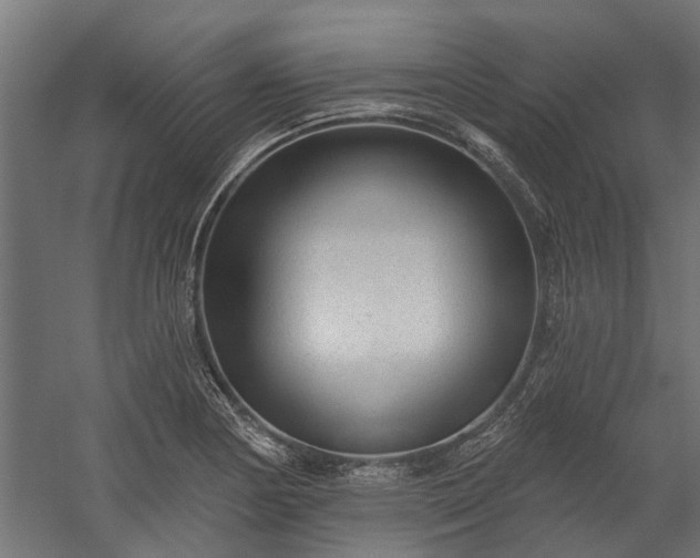X0000060221178200511041156