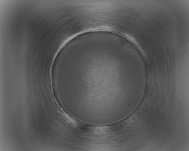 X0000060221184200511041156