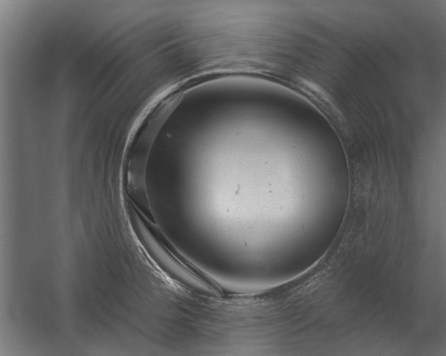 X0000060221188200511041156