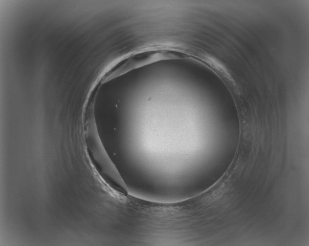 X0000060221192200511041156