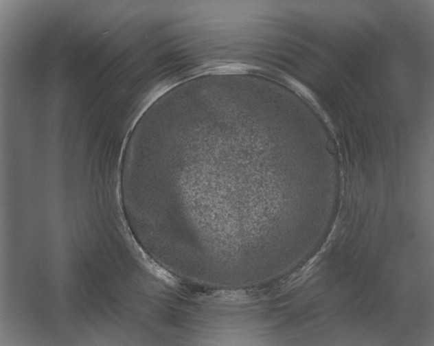 X0000060221194200511041156