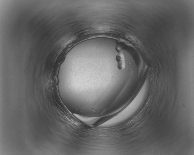X0000060221210200511041155