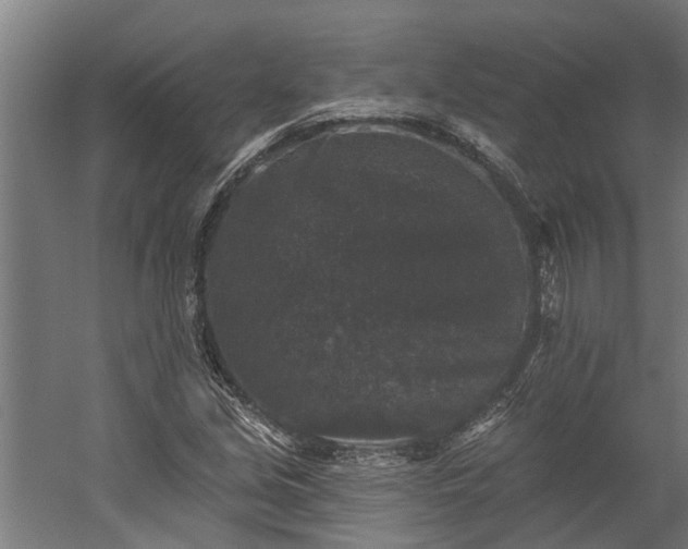 X0000060221213200511041155