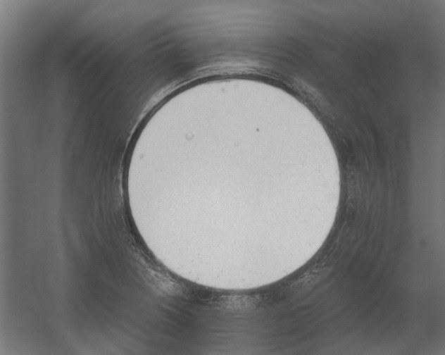 X0000060221226200511041156