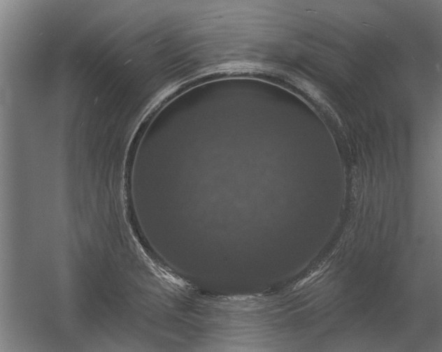 X0000060221229200511041156