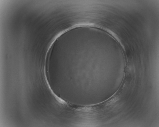 X0000060221245200511041156