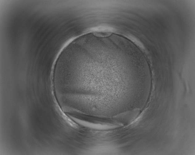 X0000060221248200511041156
