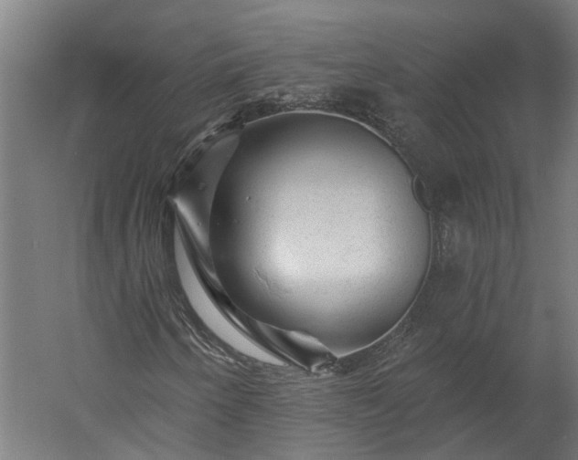X0000060221250200511041155