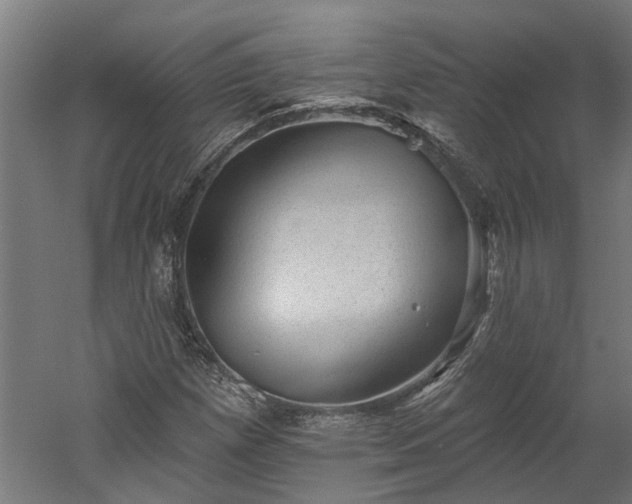 X0000060221257200511041155