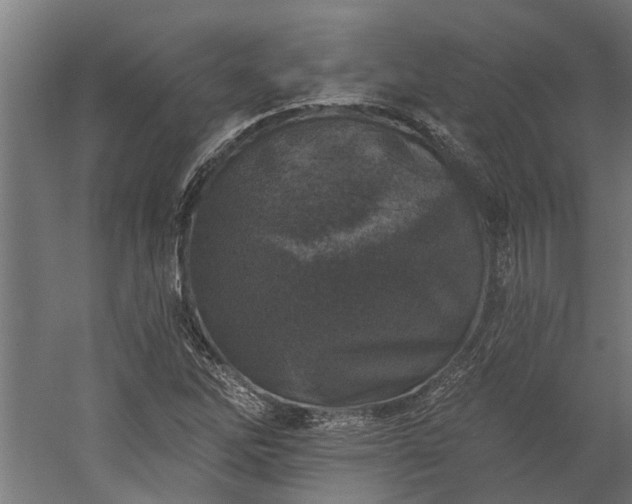 X0000060221262200511041155