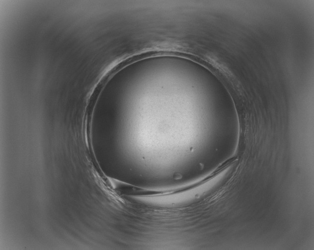 X0000060221272200511041155