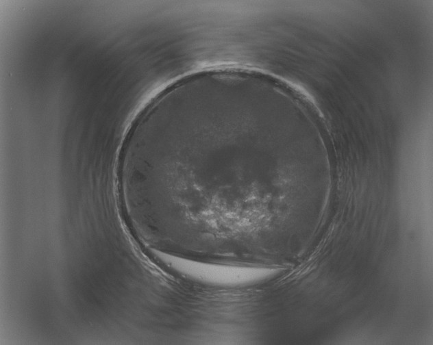 X0000060221279200511041155