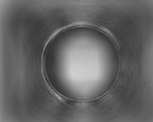X0000060221286200511041155
