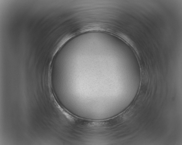 X0000060221290200511041155