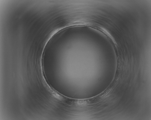 X0000060221291200511041155