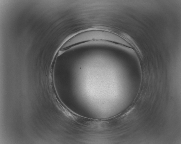 X0000060221292200511041155