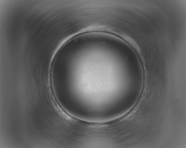 X0000060221296200511041154