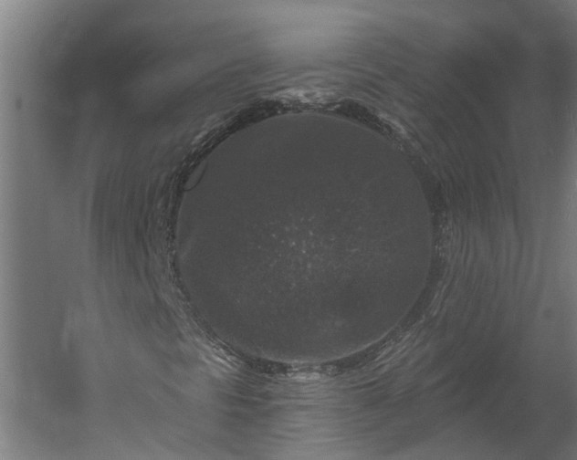 X0000060221297200511041153
