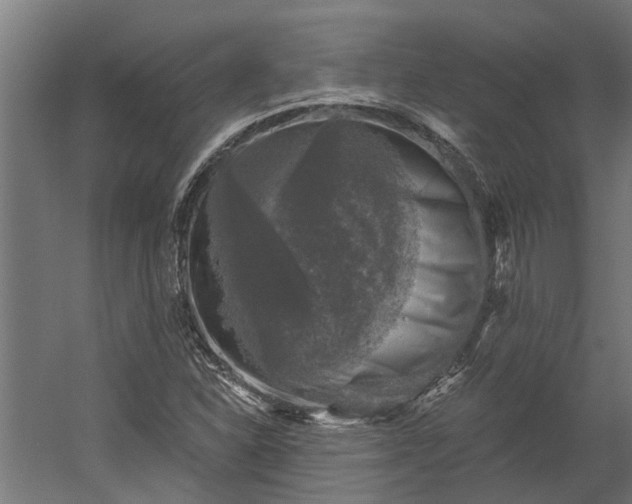 X0000060221310200511041154